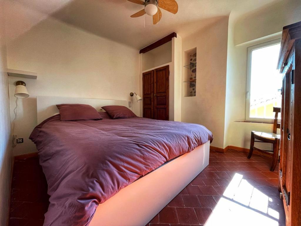 La Maison De Lily, Cosy Dans Le Vieux-Hyeres, Parking Gratuit Eksteriør billede